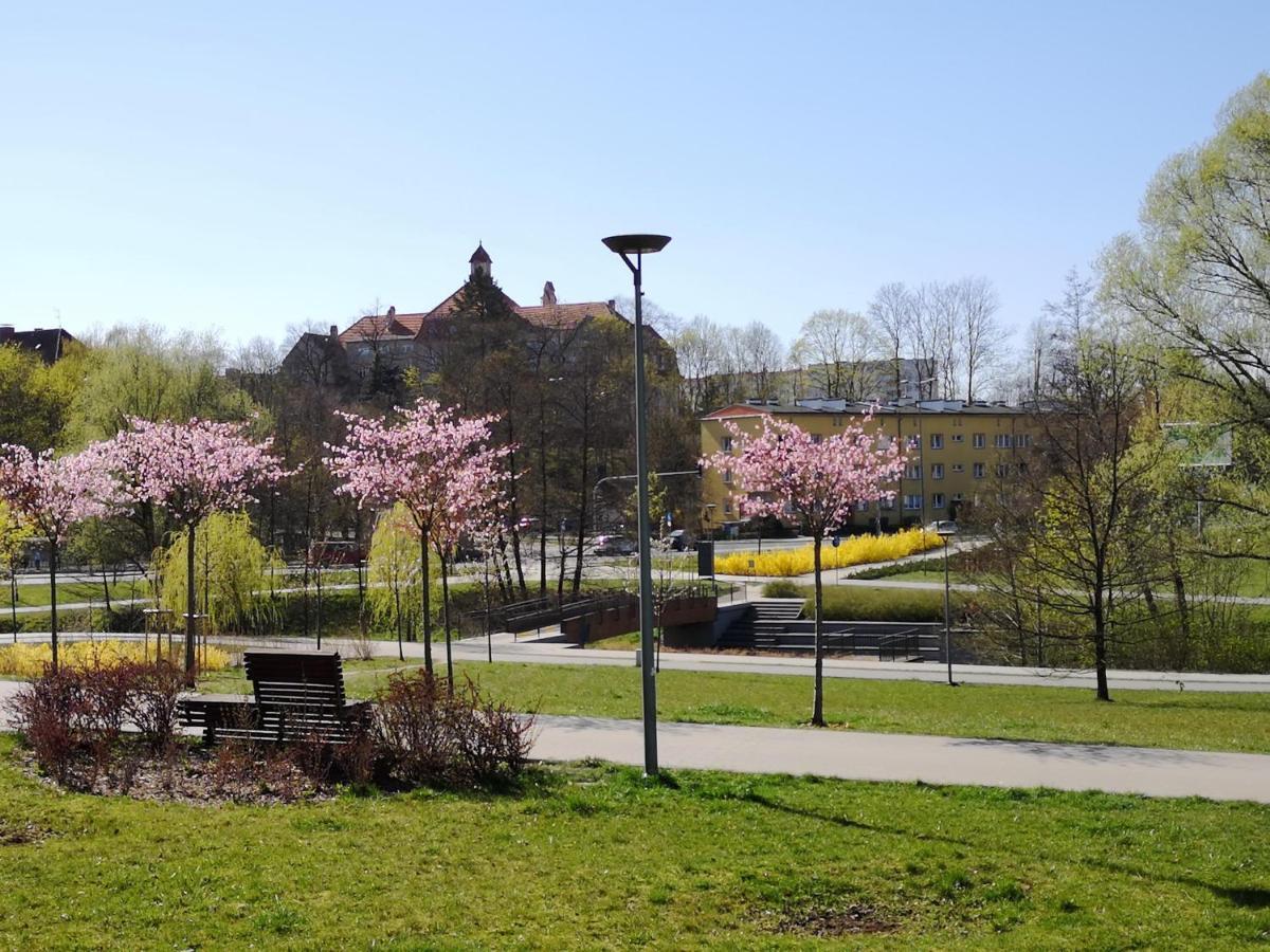 Villa Garden Paryski Allenstein Exterior foto